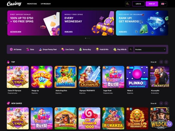 Casiny Login A Comprehensive Guide to Accessing Your Account